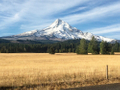 featured image thumbnail for post Wy'east (Mt. Hood)
