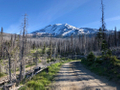 featured image thumbnail for post Pahto (Mt. Adams)